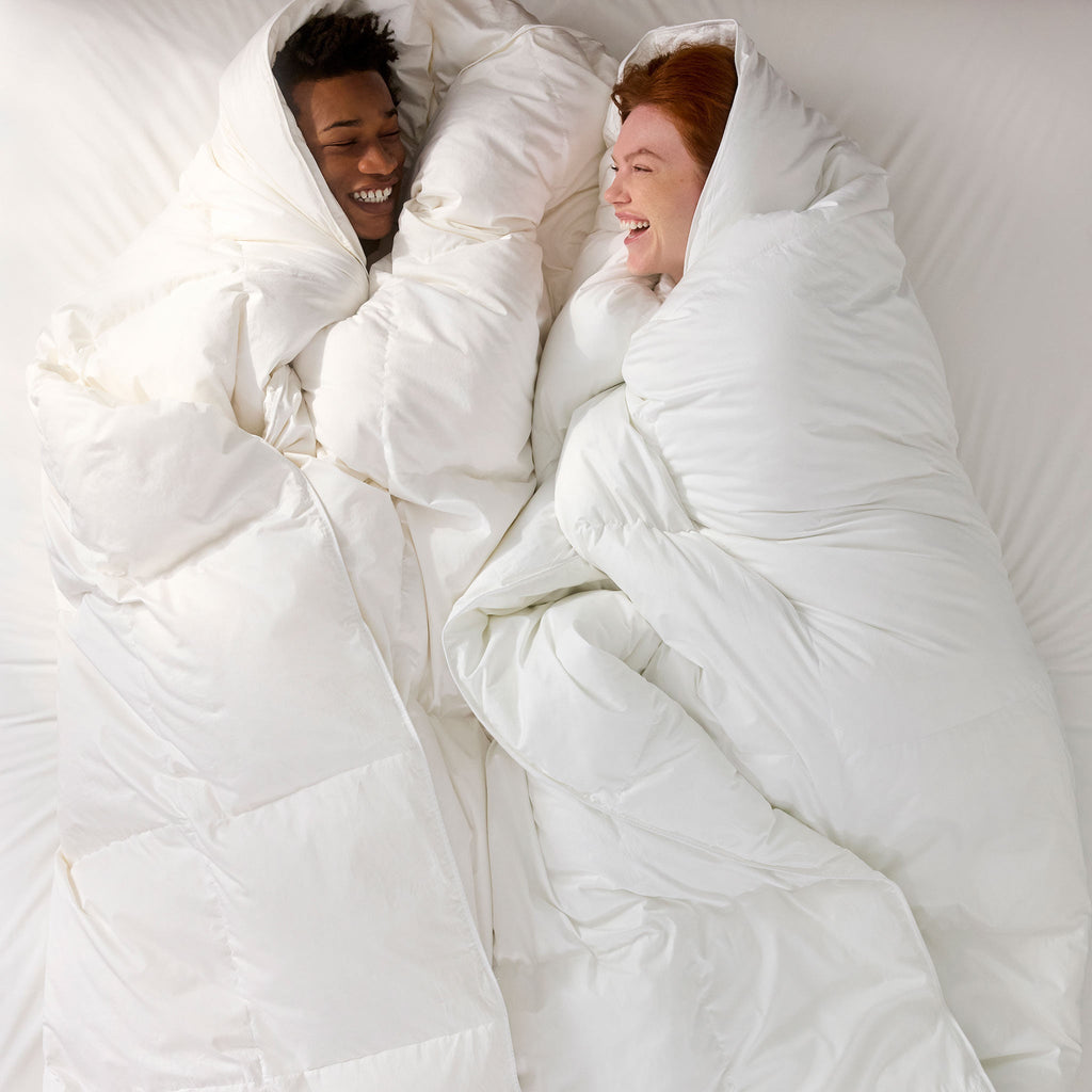 Down Comforter P6