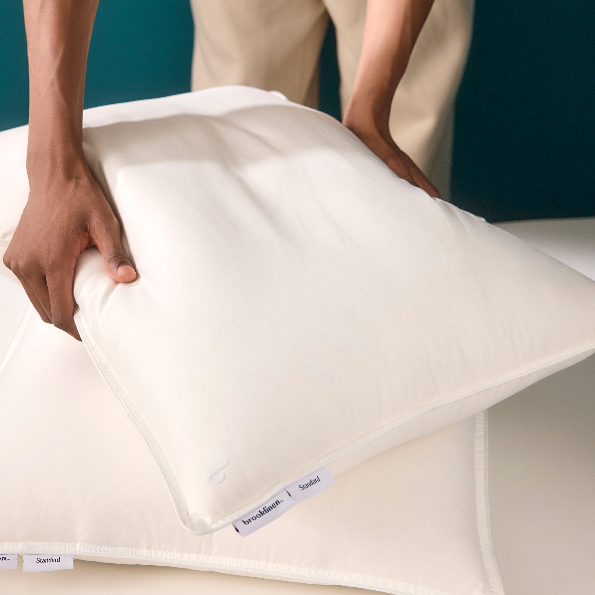 Down Pillow L5