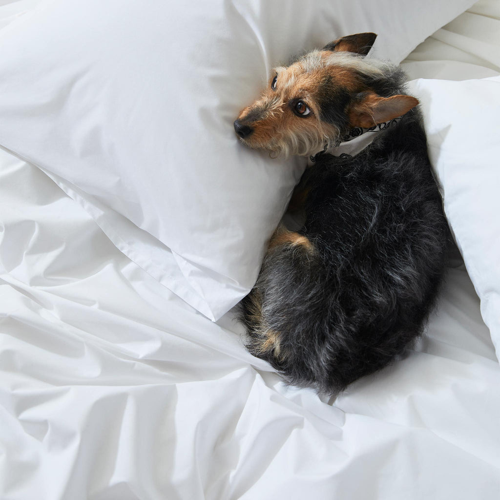 Classic Percale Core Sheet Set G3